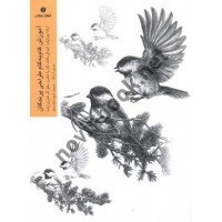 آموزش گام به گام طراحی پرندگان موری آسنگ ترجمه ی شیوا بخت مینو انتشارات یساولی